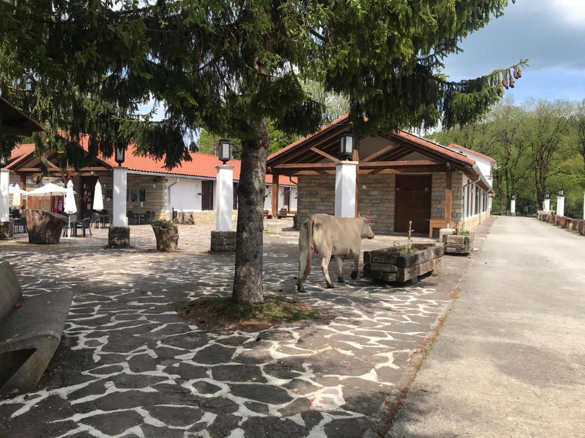 Hotel Kampaoh Sierra De Urbasa à Bacáicoa Extérieur photo